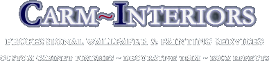 carminteriors logo 